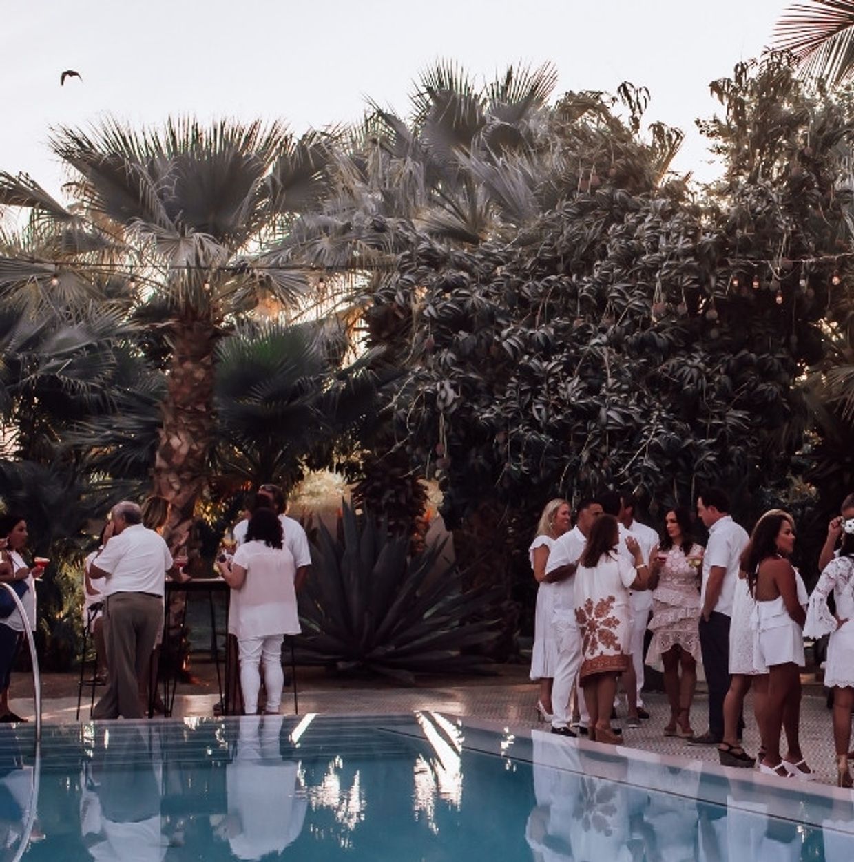 Private events Ibiza